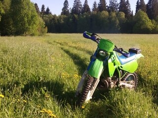 KDX 250